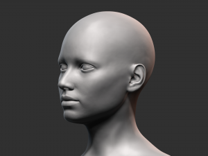 European Bust Female Head Modelo 3D