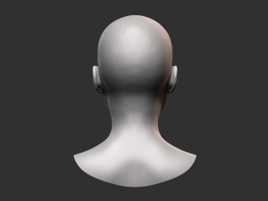 European Bust Female Head Modelo 3D