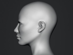 Free Bust Head Base 3D Models