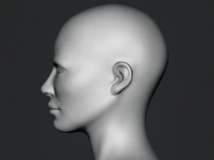 Base de cabe&ccedil;a de busto gr&aacute;tis Modelo 3D
