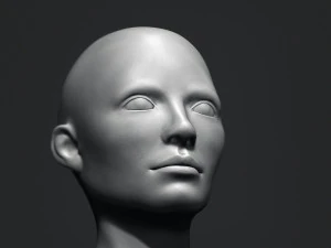 Base de cabe&ccedil;a de busto gr&aacute;tis Modelo 3D