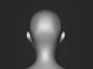 Free Bust Head Base Modelo 3D