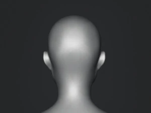 Base de cabe&ccedil;a de busto gr&aacute;tis Modelo 3D