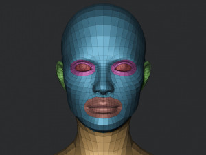 Free Bust Head Base Modelo 3D
