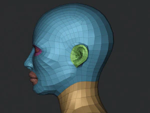 Base de cabe&ccedil;a de busto gr&aacute;tis Modelo 3D