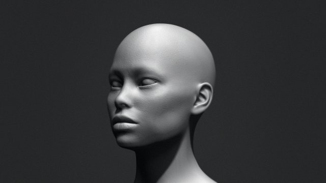 Asian Bust Head Base Mesh 3D Model .c4d .max .obj .3ds .fbx .stl .blend 
