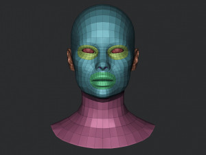 Asian Bust Head Base Mesh 3D Model