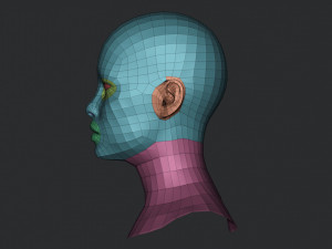 Asian Bust Head Base Mesh 3D Model