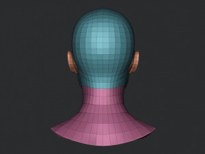 Asian Bust Head Base Mesh 3D Model