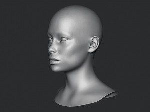 Asian Bust Head Base Mesh 3D Model