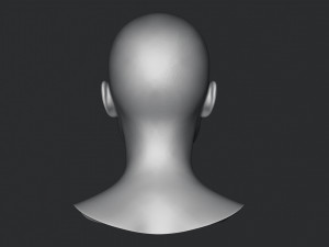Asian Bust Head Base Mesh 3D Model
