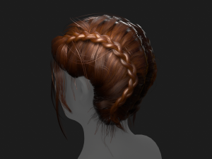 Hairstyle Braids 3D Model