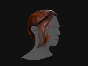 Hairstyle Braids 3D Model