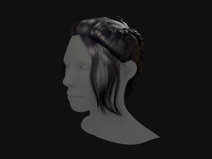 Hairstyle Braids 3D Model