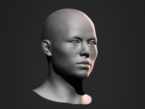 Asian Bust Male Head Base Mesh 3D Model
