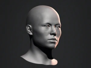Malha de base de cabe&ccedil;a masculina de busto asi&aacute;tico Modelo 3D