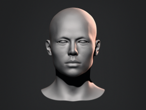 Asian Bust Male Head Base Mesh 3D Model