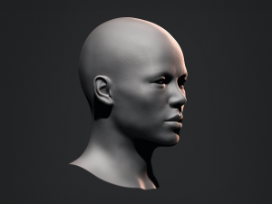 Asian Bust Male Head Base Mesh 3D Model