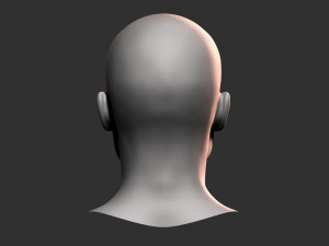 Asian Bust Male Head Base Mesh 3D Model