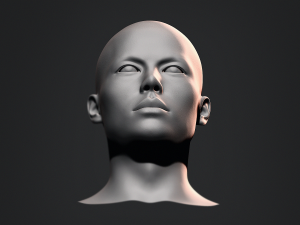 Asian Bust Male Head Base Mesh 3D Model