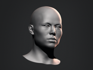 Asian Bust Male Head Base Mesh 3D Model