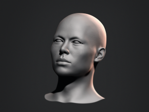 Asian Bust Male Head Base Mesh 3D Model
