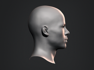 Asian Bust Male Head Base Mesh 3D Model