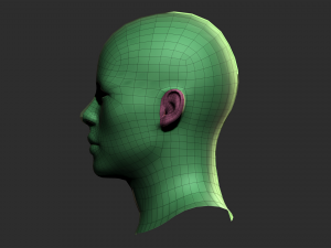 Asian Bust Male Head Base Mesh 3D Model