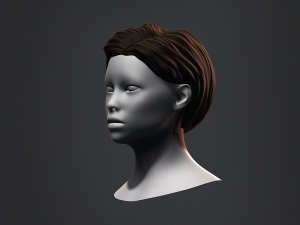 Hair - Female Low Poly Hairstyles Kitbash Modelo 3D