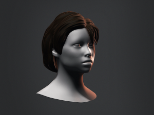 Hair - Female Low Poly Hairstyles Kitbash Modelo 3D