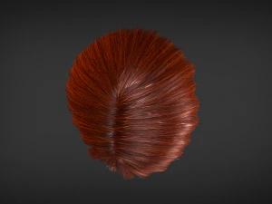 Hair - Short Male Hairstyle 3D Model
