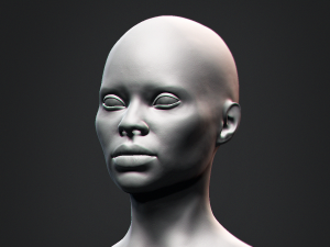 African Black Bust Female Head 3D मॉडल