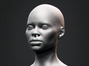 Cabe&ccedil;a feminina com busto negro africano Modelo 3D