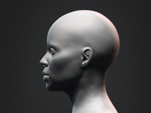 African Black Bust Female Head 3D Model
