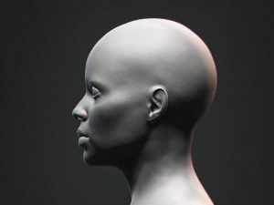 Afrikaanse zwarte buste vrouwelijk hoofd 3D Model