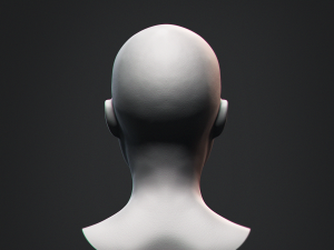 African Black Bust Female Head 3D Model