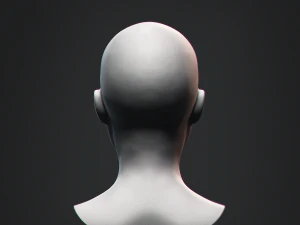 Afrikaanse zwarte buste vrouwelijk hoofd 3D Model