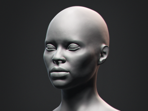 African Black Bust Female Head 3D Model