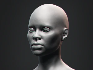 Afrikaanse zwarte buste vrouwelijk hoofd 3D Model