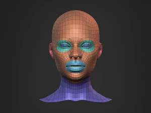 Afrikaanse zwarte buste vrouwelijk hoofd 3D Model