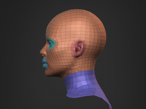 African Black Bust Female Head 3D Model