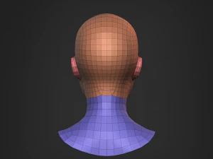 Afrikaanse zwarte buste vrouwelijk hoofd 3D Model