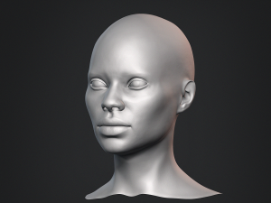 African Black Bust Female Head 3D Model