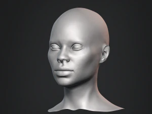 Afrikaanse zwarte buste vrouwelijk hoofd 3D Model