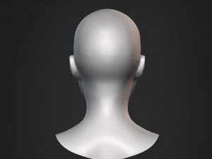 Afrikaanse zwarte buste vrouwelijk hoofd 3D Model