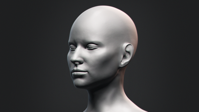 Nosed Foxy Bust Female Head Modelo 3D .c4d .max .obj .3ds .fbx .stl .blend 