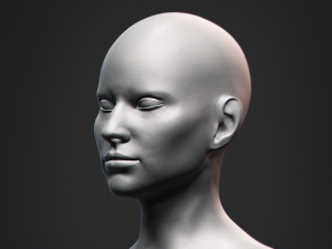 Nosed Foxy Bust Female Head 3D मॉडल