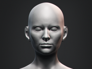 Nosed Foxy Bust Female Head Modelo 3D