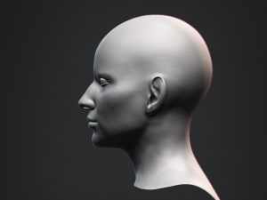 Nosed Foxy Bust Female Head Modelo 3D