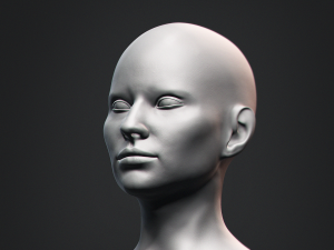 Nosed Foxy Bust Female Head Modelo 3D